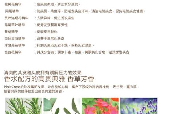 护发素使用指南：正确步骤及注意事项详解