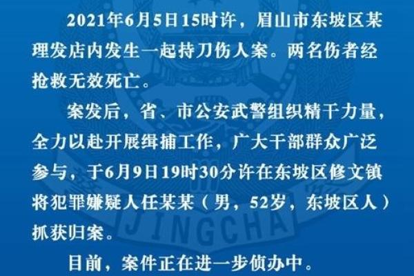 持械伤人案件的刑法判决标准详解